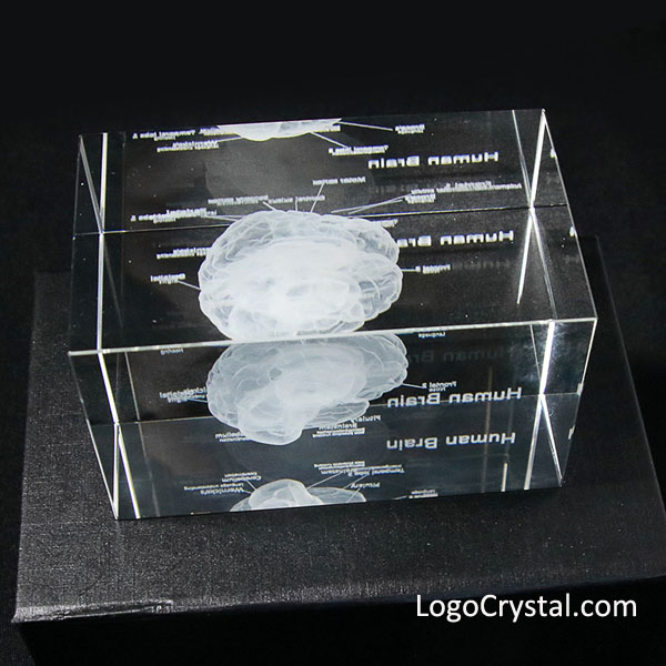 Dieser schöne Kristall zeigt ein dreidimensionales Laserbild des menschlichen Gehirns.